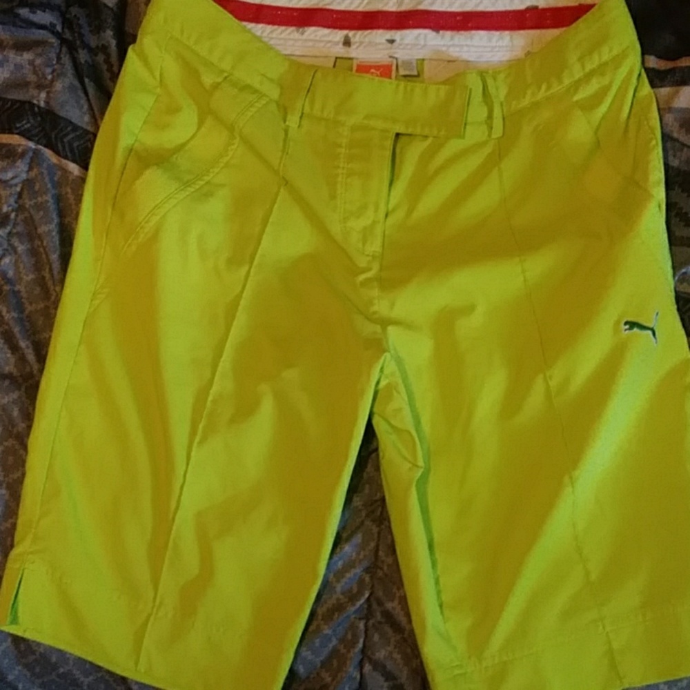 Puma capris